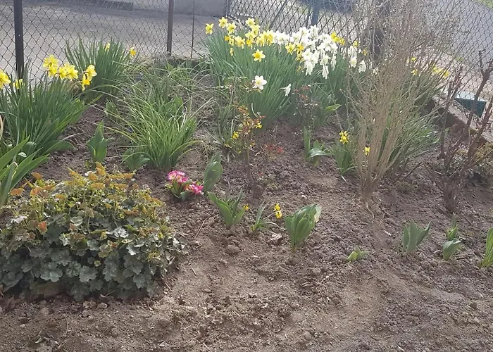 Maison De Avec 3 A Et Terrasse Ferienhaus